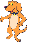 Hund
